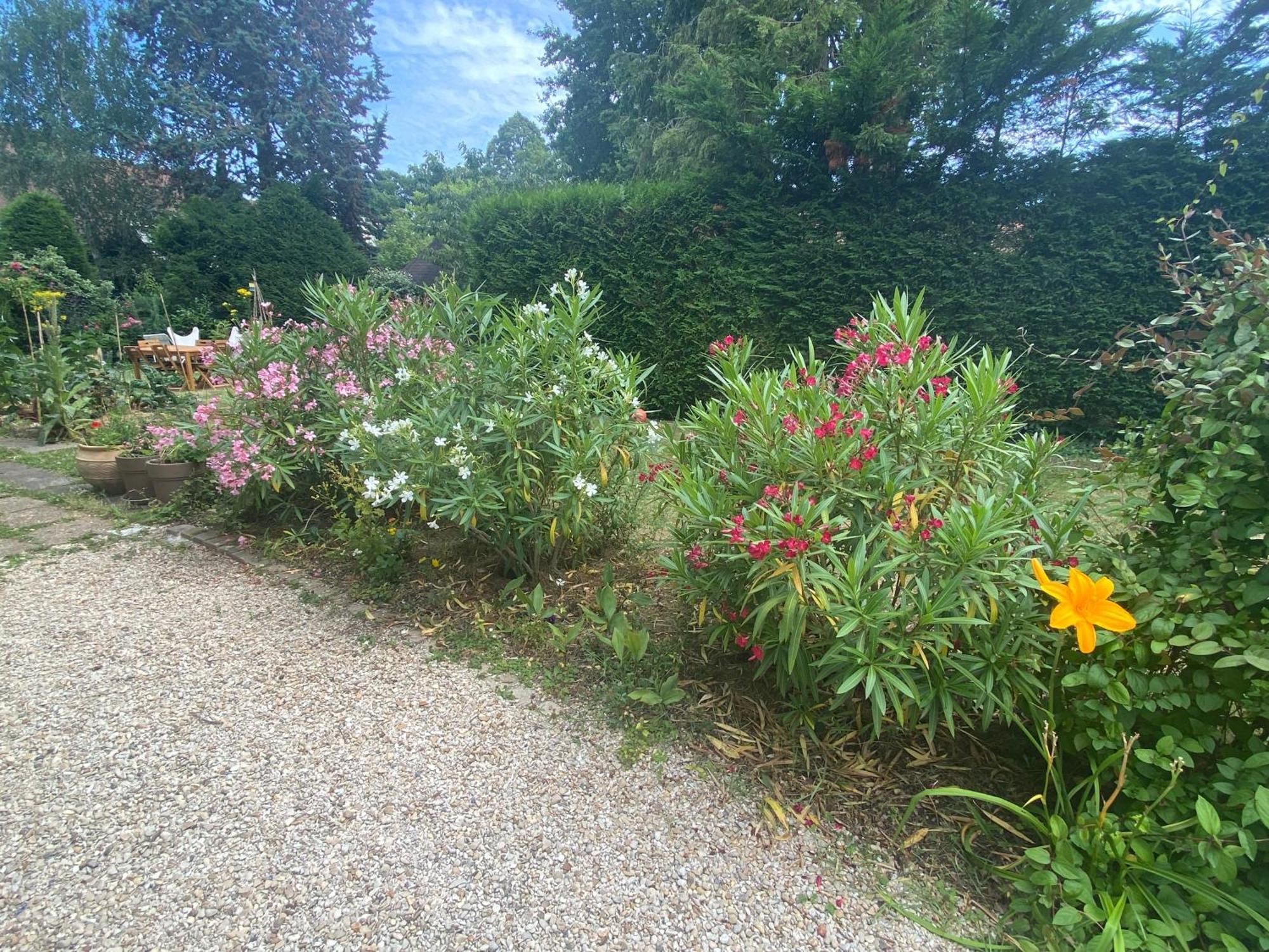 Les Charmettes Chambre D Hotes Independante Villemoisson-Sur-Orge Bagian luar foto